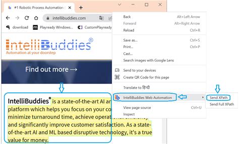 Web Element Selectors | IntelliBuddies® Documentation Portal