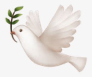 Dove PNG & Download Transparent Dove PNG Images for Free - NicePNG