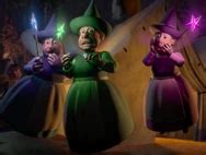 Image result for Video D Insecte