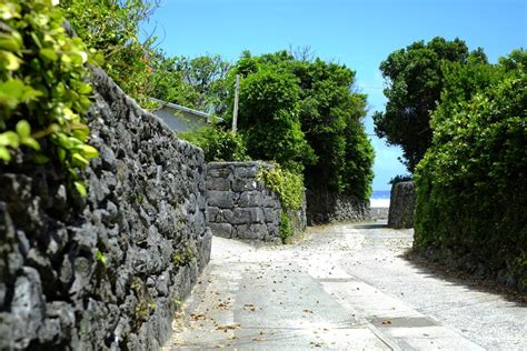 https://www.kagoshima-kankou.com/storage/tourism_attractions/10231/responsive_images/4bgNS758iy94OvhHWQhbYC9EAazp1pILObGNaqsm__1024_683.jpeg