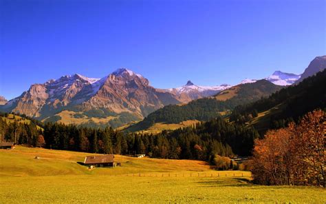 Free High Resolution Graphics 的图像结果