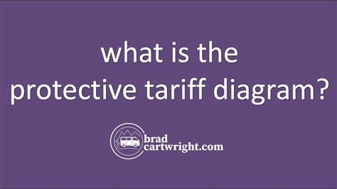 Protectionists Example 的图像结果