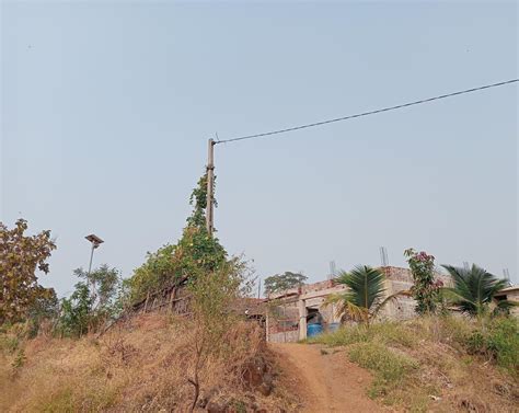 Akhara to provide electricity connection in Dabka, Dediapada