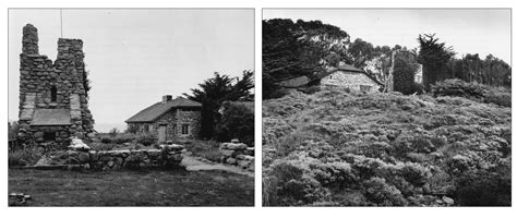 Robinson Jeffers | Creature and Creator