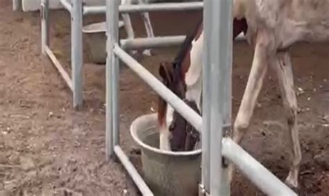 Powering India forward for 50+ years