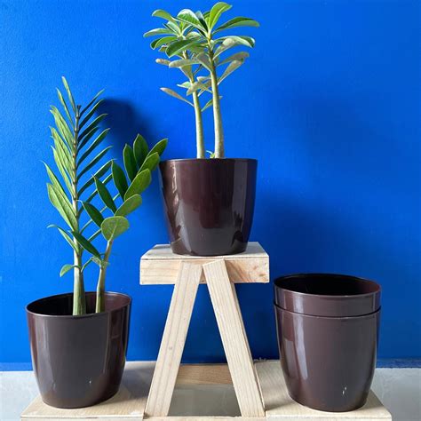 GARDEN ERA Combo of 4 Brown Plastic Planters for Home & Garden Decor ...