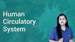 Human Circulatory System and its Components | Definition, Examples ...
