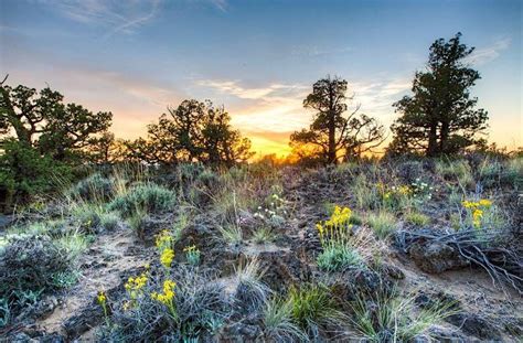 Wilderness First Aid for the Layperson, 800 NE Oregon St, Portland, 25 ...