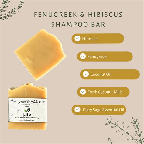 How to Celebrate World Environment Day: Activities and Ideas – Brown ...