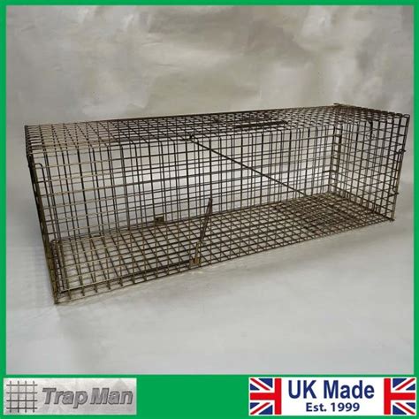 Free Cat Traps 的图像结果