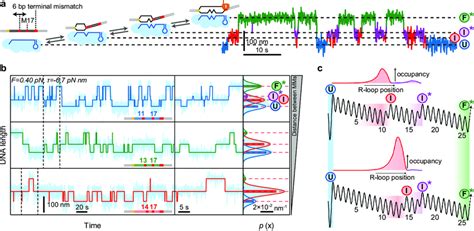 Image result for Source File Definition