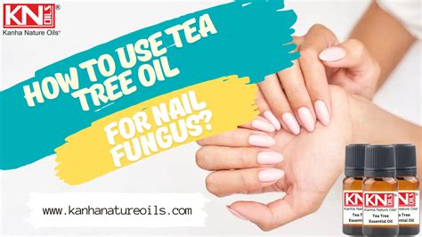 How to use tea tree oil for nail fungus ? - Pure Natural Essential Oil, Manufacturer, Wholesaler ...