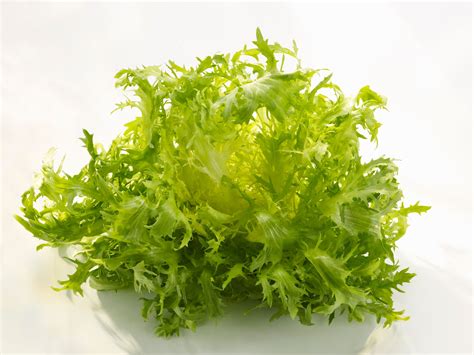 What Is Frisée? The Great Chicory-Endive-Escarole Mystery