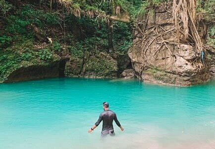 SERAFINA ORGANIC (Jamao al Norte) - Villa Reviews & Photos - Tripadvisor