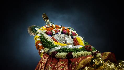 Festival Trails | Courtyard Tours