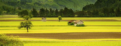 Barkdull Funeral Home | Shelby OH funeral home and cremation