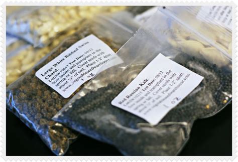 Image result for Seed Packing