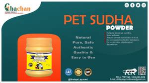 chachan PET SUDHA CHURNA 100 GM Price in India - Buy chachan PET SUDHA ...