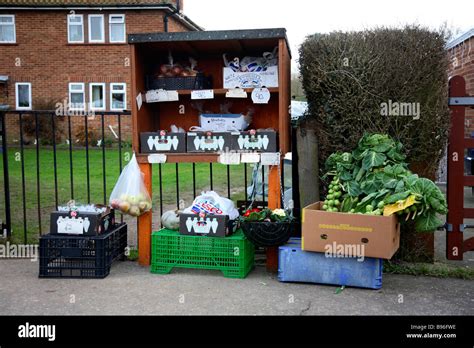 US Local Produce 的图像结果