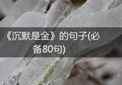 《沉默是金》的句子(必备80句)