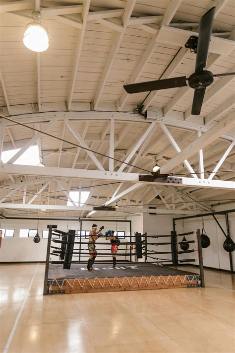 Boxing Match 的图像结果