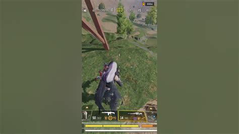 Image result for Papi T Cod