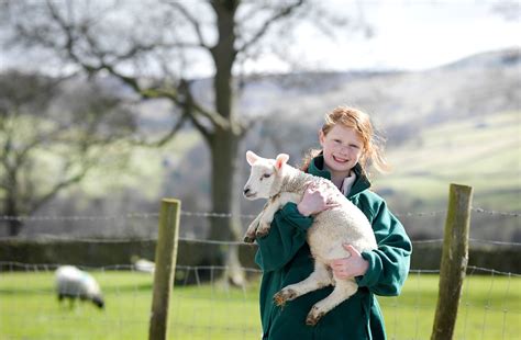 Image result for Spring Break Beaver Competition