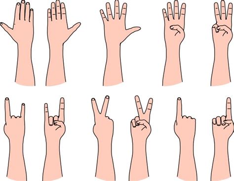 Count 的图像结果