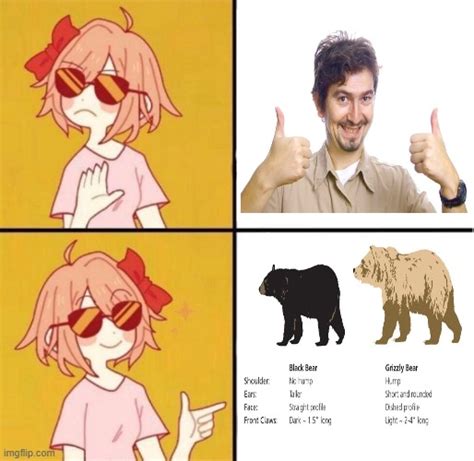 no yes girl - Imgflip