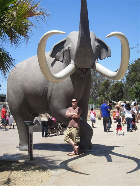 Download San Diego Zoo Elephant Statue Wallpaper | Wallpapers.com
