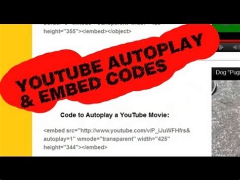 Image result for YouTube Autoplay Code