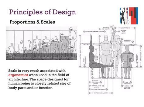 Principles of design | PDF
