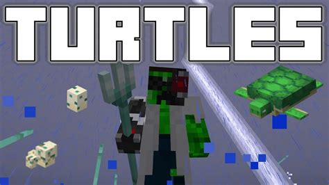 Turtle Tutorial Minecraft 的图像结果
