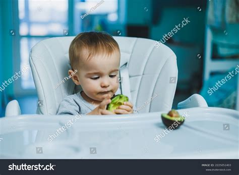 Little Adorable Baby Eating Avocado Vitamin Stock Photo 2225051403 | Shutterstock