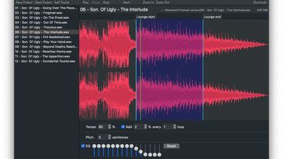 Image result for Tune Transcriber