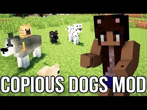Image result for Copious Dogs Mod Install 1 7 10