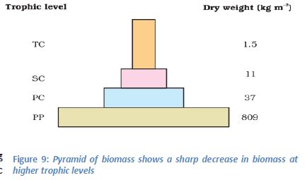 Biosphere and Working of Ecosystems: Environment and Disaster ...