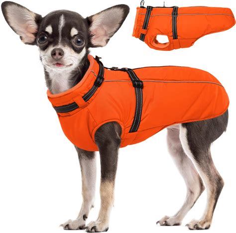 Amazon.com : Lelepet Waterproof Dog Winter Coat with Back Zipper ...