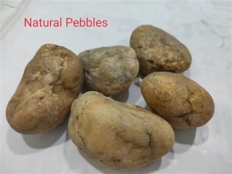 Gravel Stone - Gravel For Borewell Trader - Wholesaler / Distributor ...