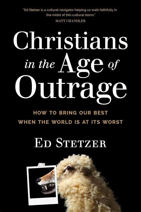 Buy Christians in the Age of Outrage: How to Bring Our Best When the ...