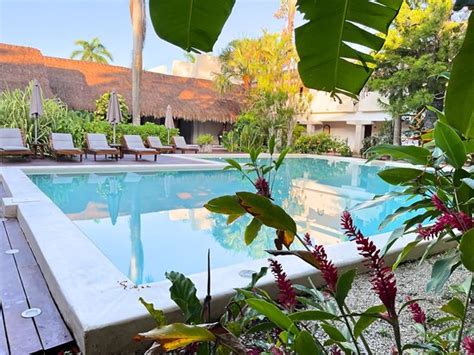 HOTEL KAAB COBA - Hotel Reviews, Photos, Rate Comparison - Tripadvisor