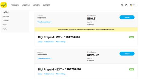 Digi Data. Check Balance 的图像结果