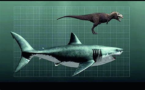 赛尔号：boss钢牙鲨的3种进化形态，最终化为水王的宠物_腾讯新闻