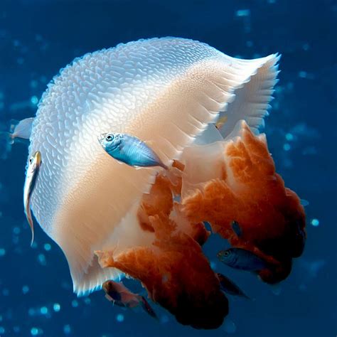 Ocean iPad Wallpapers iPhone Wallpapers, iPad wallpapers One