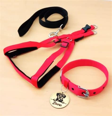 Buy Kraftidy Dog Collar Belt with Name tag id Customized for Small ...