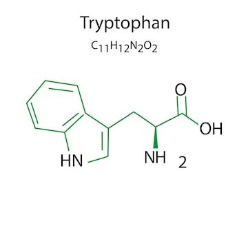 Flat icon with tryptophan formula vector illustration | Premium Vector