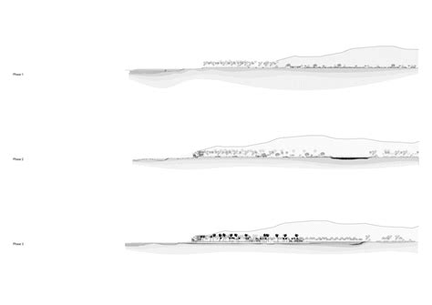 Roots and Revenue | CEPT - Portfolio