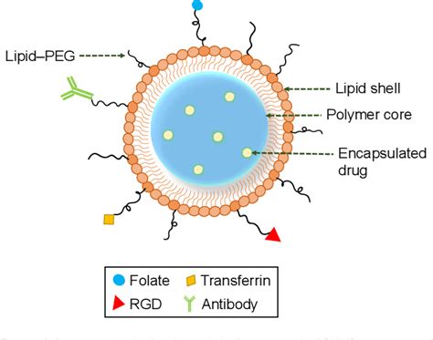 Lipids Polymer
