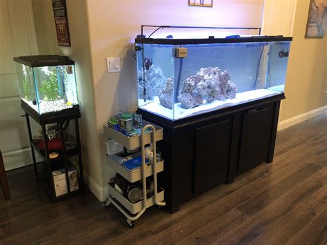 Saltwater Fish Tank 100 Gallon