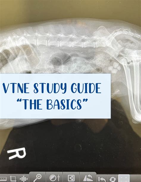 Image result for VTNE Study Guide